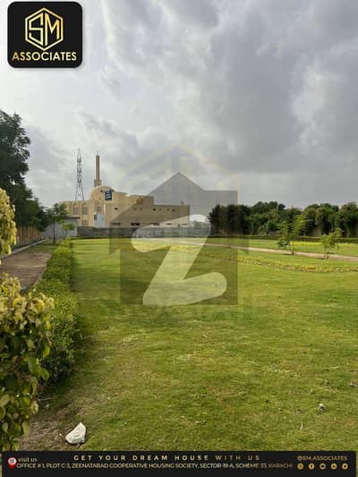 155 Yards West open Plot For Sale Scheme 33 Sector 31 PUNJABI SAUDAGARAN PS CITY 2