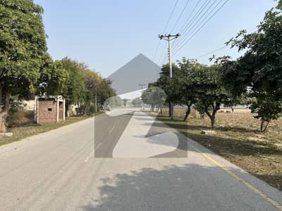 بیدیاں روڈ لاہور میں 4 کنال رہائشی پلاٹ 6.0 کروڑ میں برائے فروخت۔