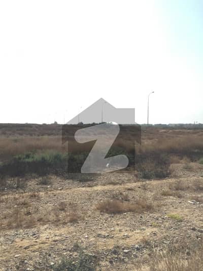 Best Location Jori Plots 500+500 Yards In Phase 8 DHA