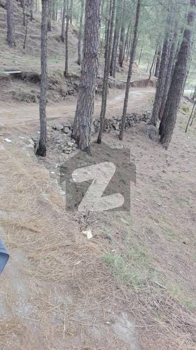 Plot For Sale In Murree Phagwari