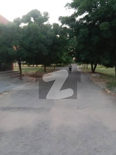 240 Yards Open Plot , Transfer File . . . Attractive Price . . . Chance Deal . . .