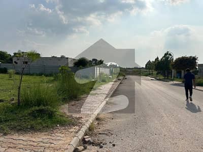 گلبرگ گرینز ۔ بلاک ڈی گلبرگ گرینز,گلبرگ,اسلام آباد میں 5 کنال رہائشی پلاٹ 6.5 کروڑ میں برائے فروخت۔