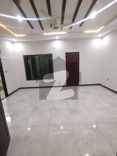 Luxury 4 Marla Full House Is Available For Rent In D-12/1