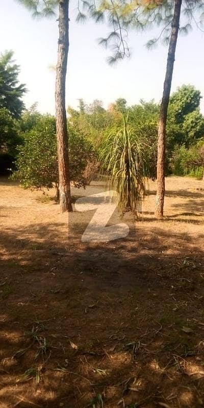 Farm House Available For Sale in chak shehzad