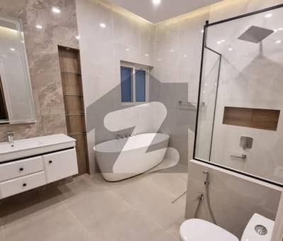 Newly Renovated 8 Bedroom Bungalow