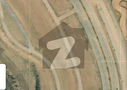 8 Marla Plot for Sale in DHA Valley Phase 7 Bluebell 6D Ballot, Street 6D