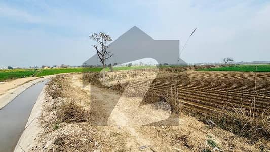 بیدیاں روڈ لاہور میں 4 کنال زرعی زمین 80.0 لاکھ میں برائے فروخت۔