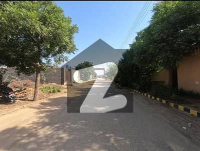 240 Square Yards Ground Plus 1 House And Penthouse West Open Maintained House For Sale In Zeenatabad Society 240 Square Yards Ground Plus 1 House And Penthouse West Open Maintained House For Sale In Zeenatabad Society