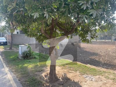 Prime 5 Marla Residential Plot | Park View City