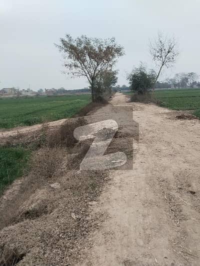 کاہنہ لاہور میں 40 کنال زرعی زمین 25.0 کروڑ میں برائے فروخت۔