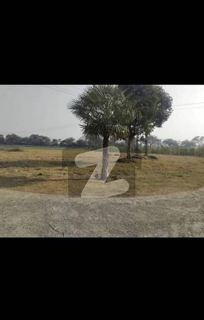 Investment in [Location] Best Agricultural Property for Sale Irrigation & Road Access 2,4 ,8 16 kanal