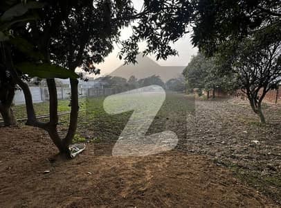 Buying A Farm House In Cantt?