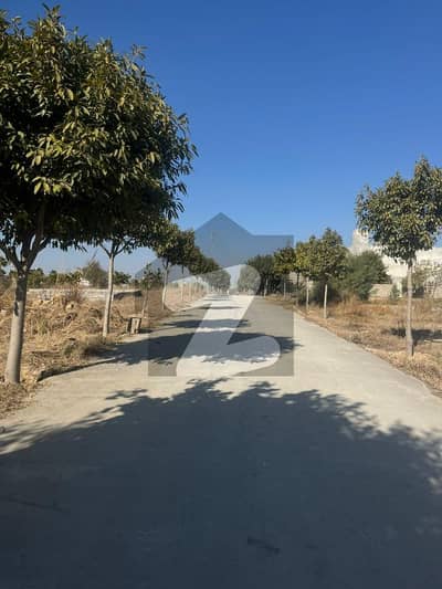 Residential Plot for Sale Zamar Valley Islamabad