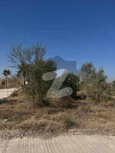 Residential Plot for Sale Zamar Valley Islamabad