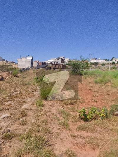 10 Marla Plot Available For Sale