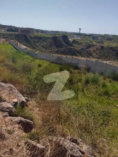 7 Marla Plot Available For Sale