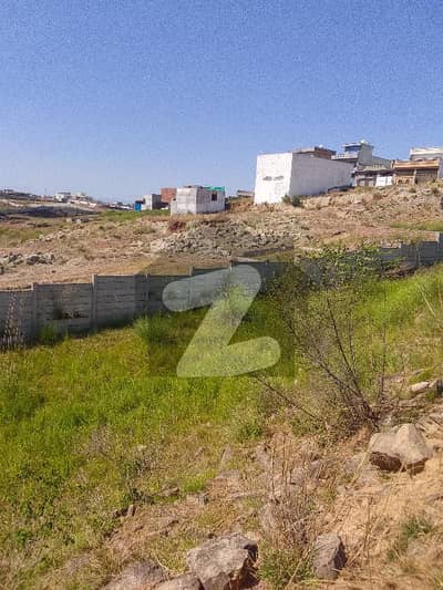 7 Marla Plot Available For Sale With Extra Land