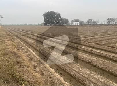 Reasonable Price | Premium 8 Acre Agricultural Land | Near DHA Lahore