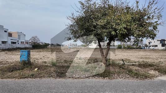 Rare Pair Opportunity: 4 Kanal Plot For Sale