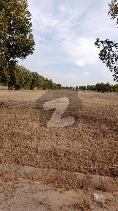 DHA VALLEY ISLAMABAD  Rose 8 Marla Ready To Construction Plot Boulevard Category