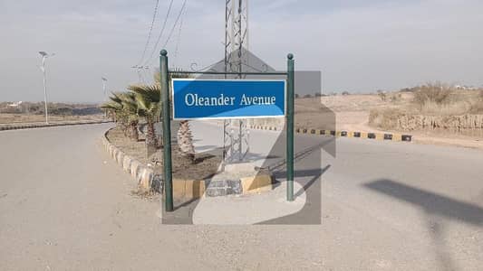 Oleander Block A 8 Marla Ready To Construction Plot Solid land Heighted View Back Open