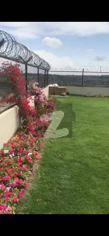 بلکاسار چکوال میں 1100 کنال زرعی زمین 33.0 کروڑ میں برائے فروخت۔