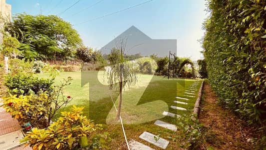 12 Marla Designer house in sector D