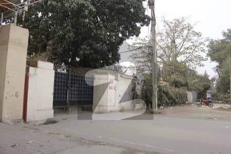 Hot Location Commercial Property In D Ground Faisalabad