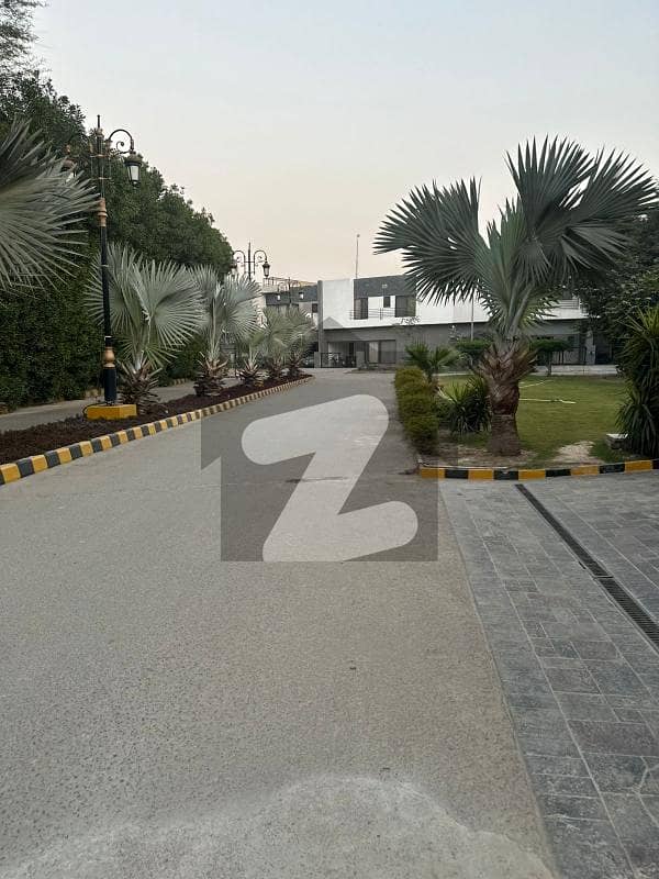 6.5 MARLA FUL HOUSE HOT LOCATION 6.5 MARLA FUL HOUSE HOT LOCATION