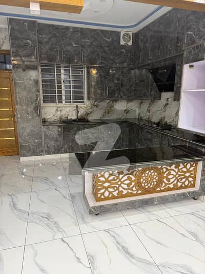 brand new lush house availabe