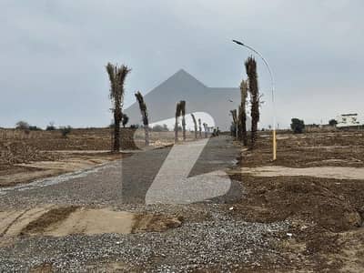 New City E Block Major Road Plot