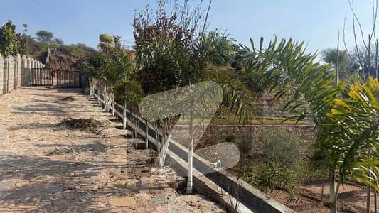 سملی ڈیم روڈ اسلام آباد میں 12 کنال فارم ہاؤس 7.2 کروڑ میں برائے فروخت۔