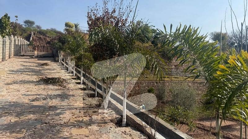 Farmhouse Land For Sale On Simly Dam Road Farmhouse Land For Sale On Simly Dam Road