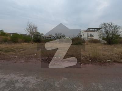Ideal Location Laval 1 kanal Pair Plot Is Available For Sale In D-12/3 Islamabad