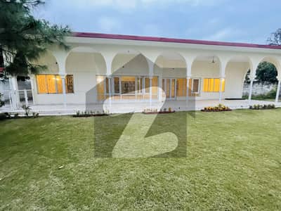 4 Kanal Single Storey House Available For Rent