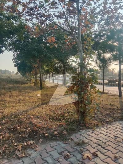 A Valuable Plot In An Important Sector. In This Sector There Is A Limited Streets And Proper Seperate Patch Of 5 Marla Category.