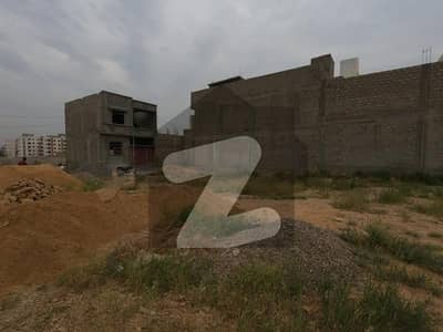 Gold Ext Blk Plot Available In Reasonable Price