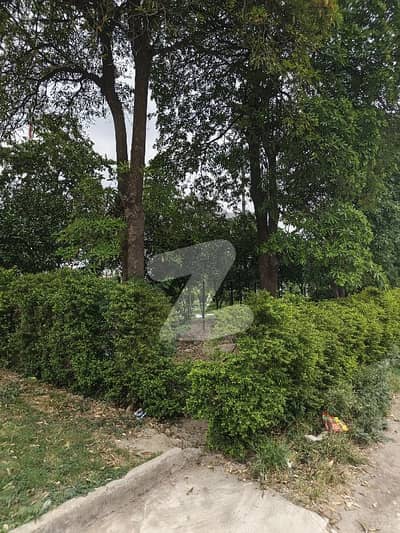 North Facing 5 Marla Plot Available For Sales