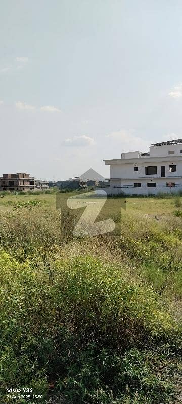 50*90 Plot For Sale Size 1 Kanal