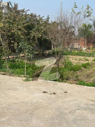 10 Marla Prime Location Plot Phase 6