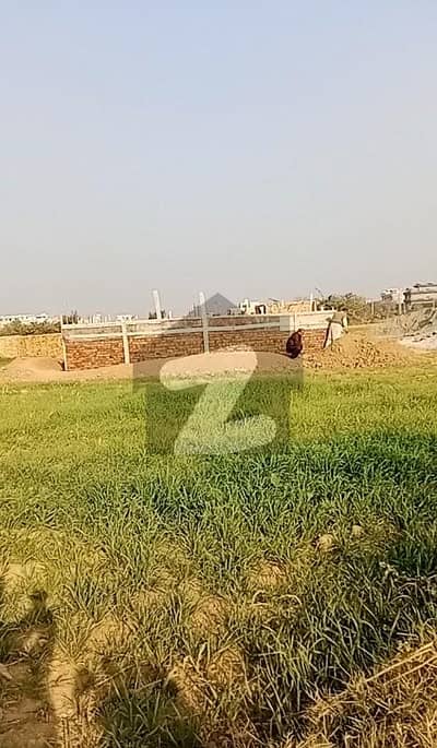 Hot Deal! 25x50 Plot Available in I-16/2