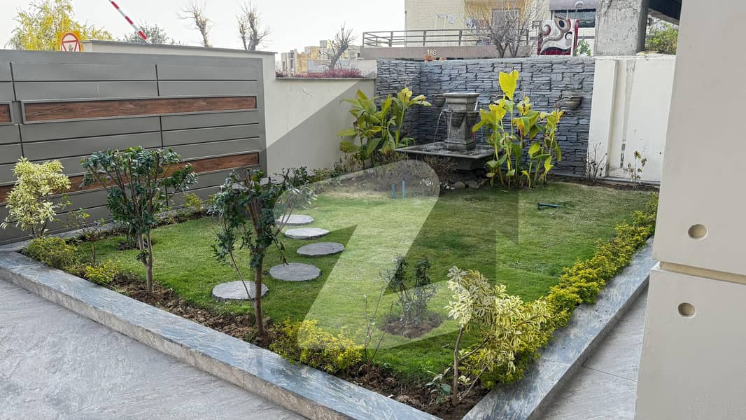 Designer House Designer House