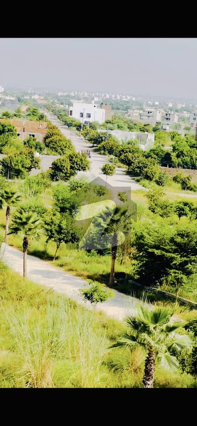 2 Marla Commercial Plot On Investor Rates