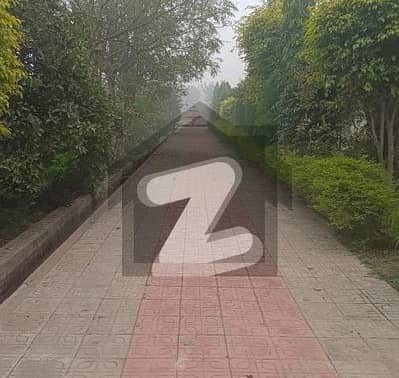 20.9 Kanal Corner Plot For Sale On Main Talab Saray Road Near Manga-Raiwind Road, Lahore | Rs. 12.25 Crore