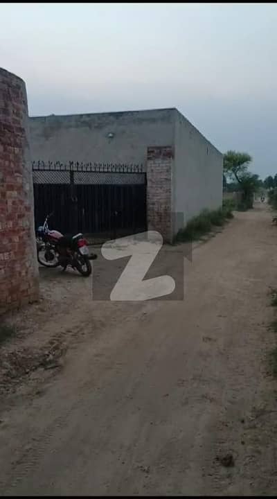 6 Kanal Dairy Farm For Sale Prime Location On Main Talab Sarai Road, Jatti Umrah, Lahore