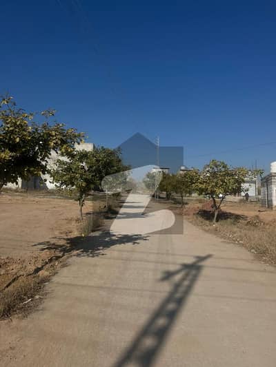 Residential Plot For Sale In Zamar Valley