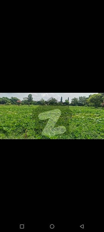 چک شہزاد اسلام آباد میں 21 کنال زرعی زمین 25.5 کروڑ میں برائے فروخت۔