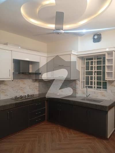 Double story house for rent