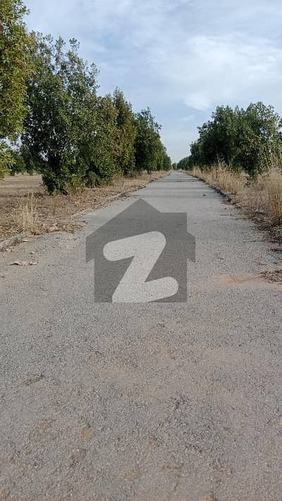 DHA VALLEY ISLAMABAD  Sector Oleander  For Sale 8 Marla Ready To Construction Plot Level & Solid Land Good Location