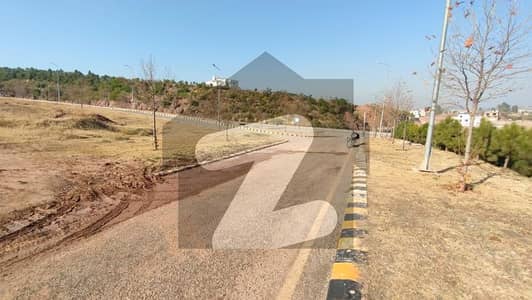 2 Kanal Possession Plot For Sale in D Block | Front Open